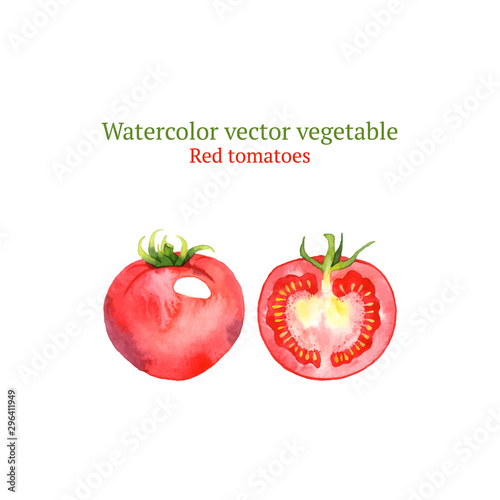Watercolor vector tomatoes