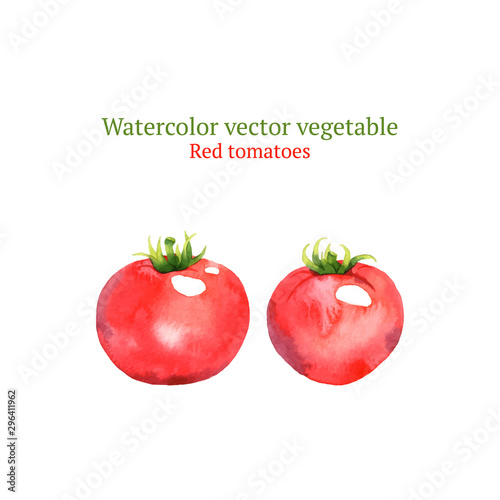 Watercolor vector tomatoes