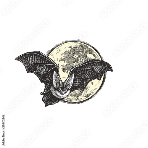 Vector vintage illustration of bat flying against the moon. Hand drawn Halloween symbol in engraving style