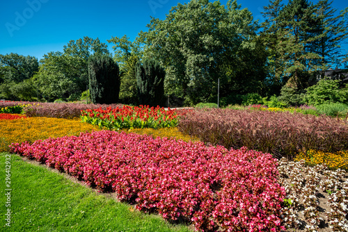 Fototapeta Naklejka Na Ścianę i Meble -  A view of a lawn and flower garden. beautiful park