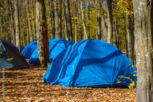 Camping and group of tourist tent under deciduous autumn forest with beautiful sunlight in the morning.