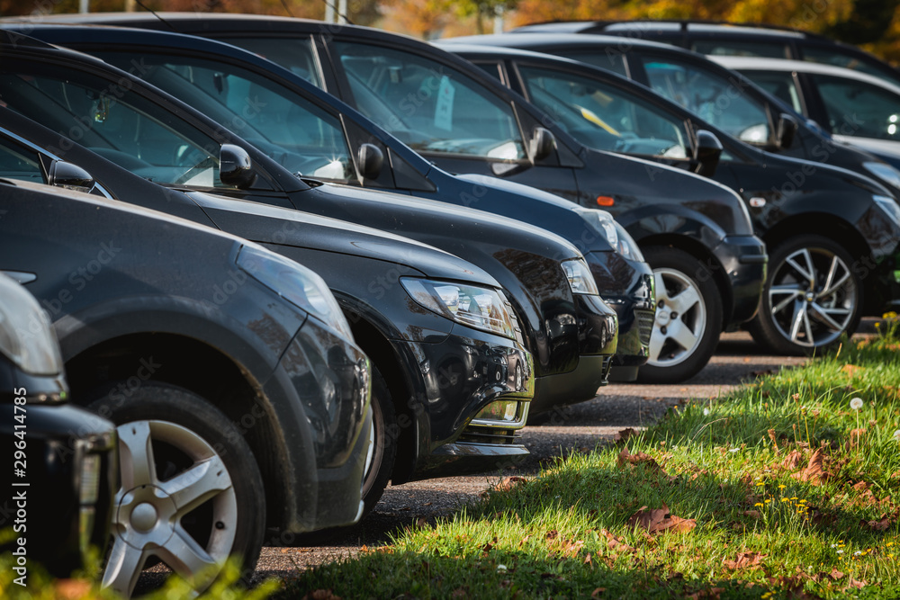 cars row parked at a car dealership stock