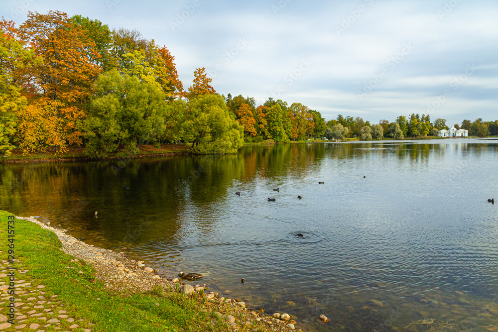 Autumn Park in Pushkin. Large pond. Saint-Petersburg. Morning.