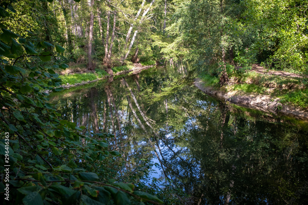 Fototapeta premium Sky and foliage reflecting on a calm river,