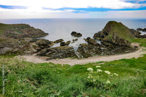 Photos Coastal trail Buckie Scotland cliffs and rocks in the ocean with common yarrow f