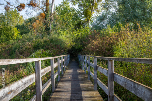 Wooden footbridge leading to a small tree tunnel
