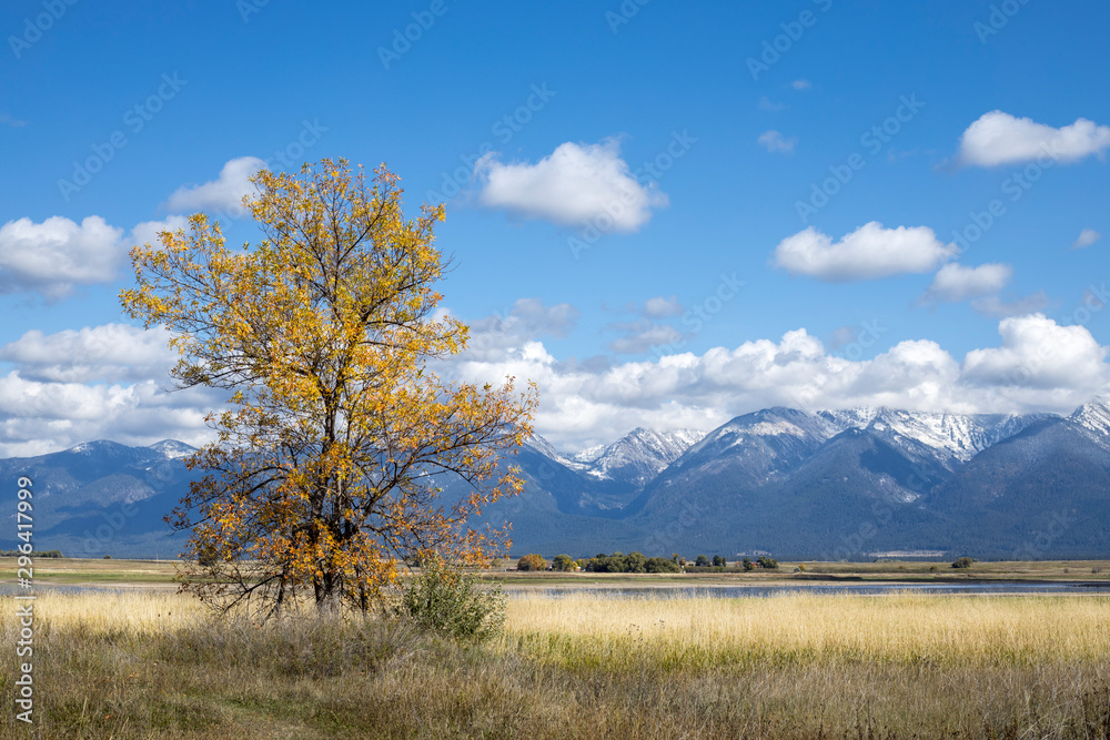 Obraz premium Western montana in autumn.