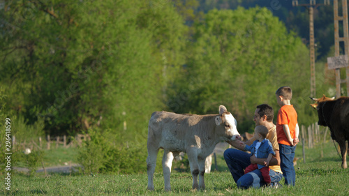 Father holding baby and big son caress a veal in beautiful countryside nature