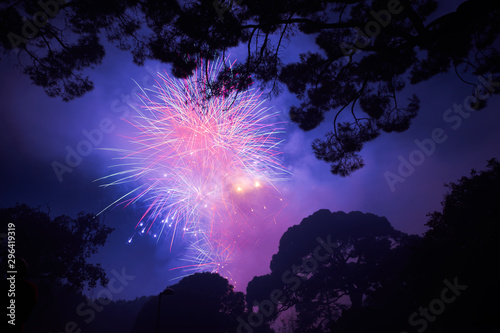 Fototapeta Naklejka Na Ścianę i Meble -  Fireworks with tree silhouettes