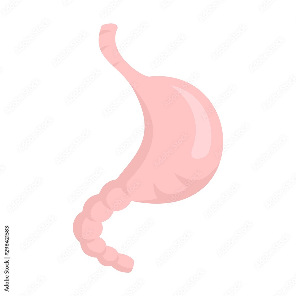 Stomach icon. Flat illustration of stomach vector icon for web design Stomach icon. Flat illustration of stomach vector icon for web design