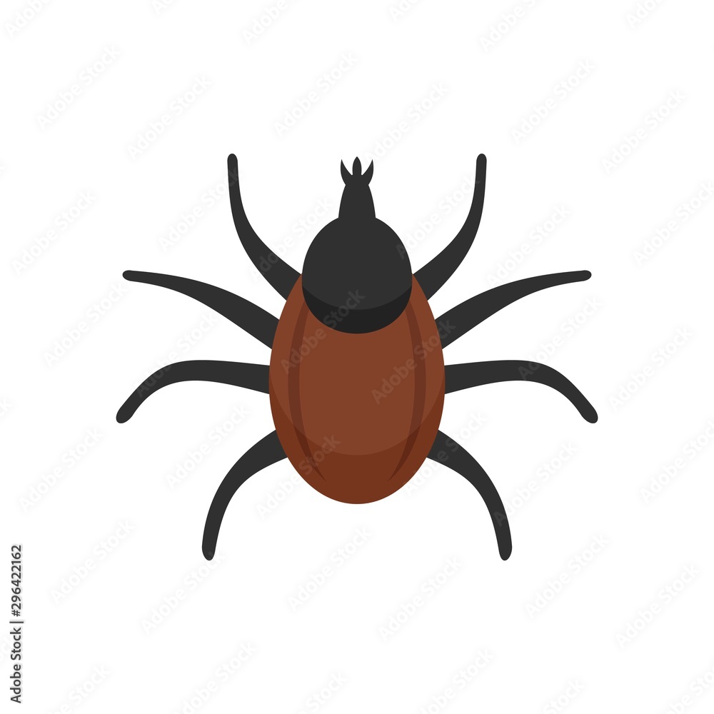Dog mite icon. Flat illustration of dog mite vector icon for web design Dog mite icon. Flat illustration of dog mite vector icon for web design