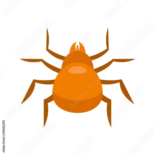 Cat mite icon. Flat illustration of cat mite vector icon for web design