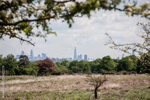 Skyline London vom Richmond Park Panorama