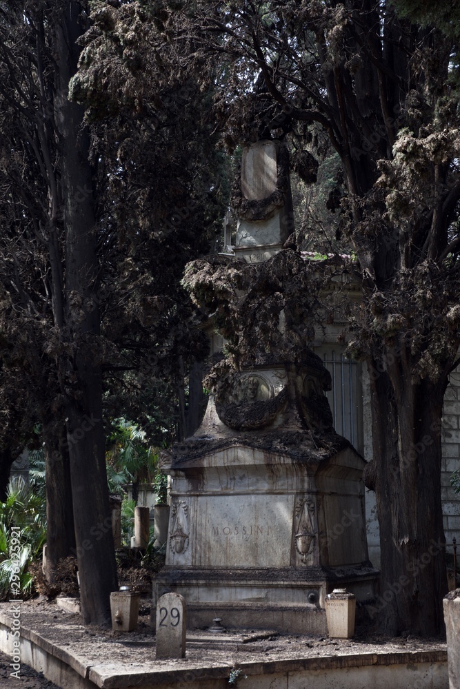 Obraz premium graveyard