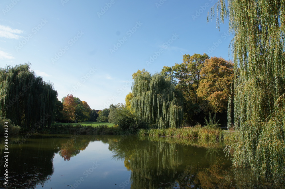 landscape with lake and trees