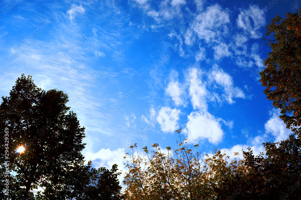 against a clear, delicate, blue sky rare stains of white clouds against a clear, delicate, blue sky rare stains of white clouds