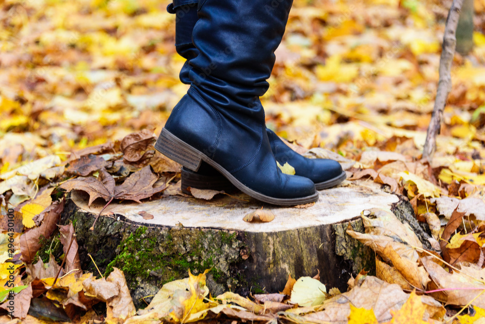 Stylish woman boots on a background of autumn fallen leaves.