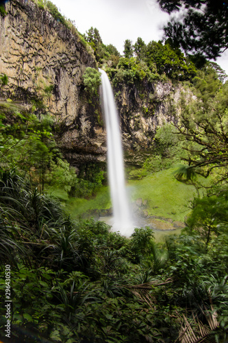 bridal veil falls waterfall in Raglan New Zealand vertical portrait