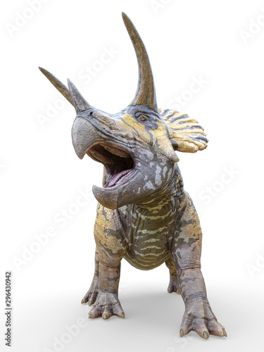 Fototapeta Naklejka Na Ścianę i Meble -  triceratops standing up on white background