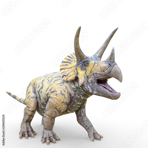triceratops is ready on white background © DM7