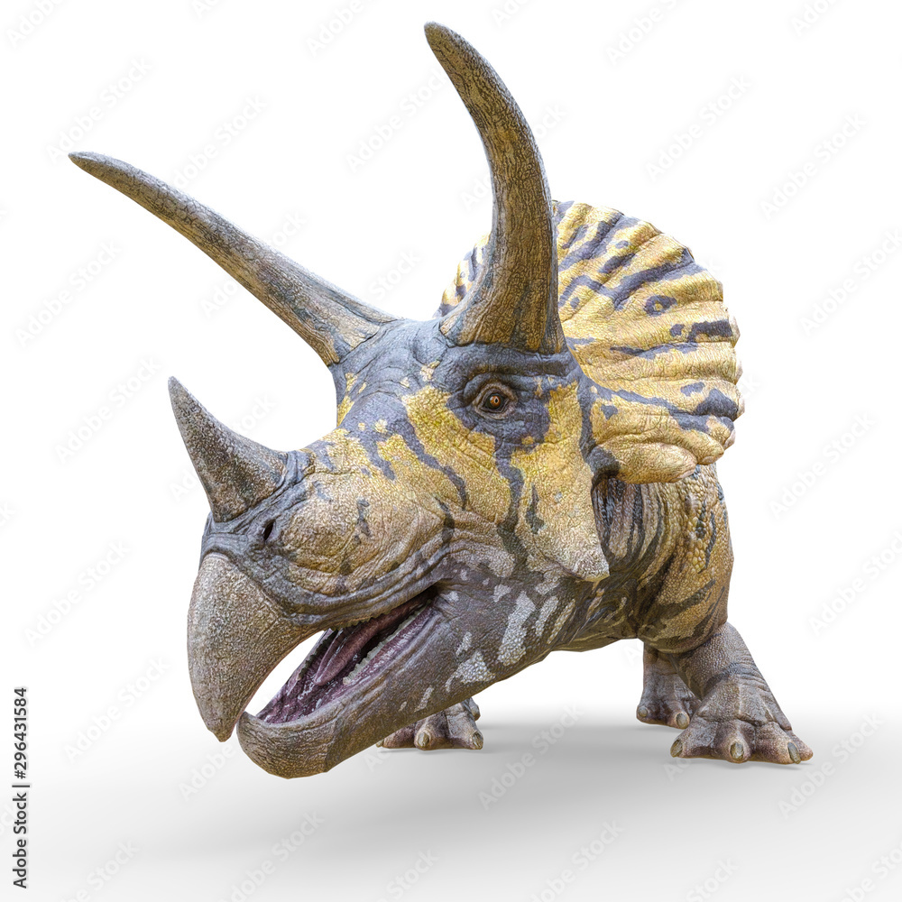 Fototapeta premium triceratops profile picture id on white background