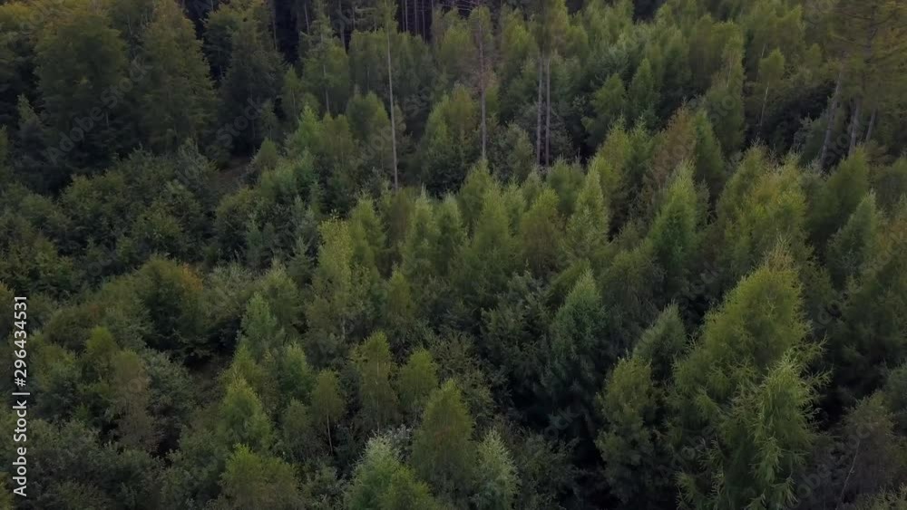 aerial view on a forest in Germany taken using a drone aerial view on a forest in Germany taken using a drone