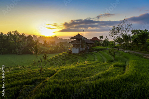 Morning Light In Beautiful Belimbing Rice field at Pupuan Tabanan Bali