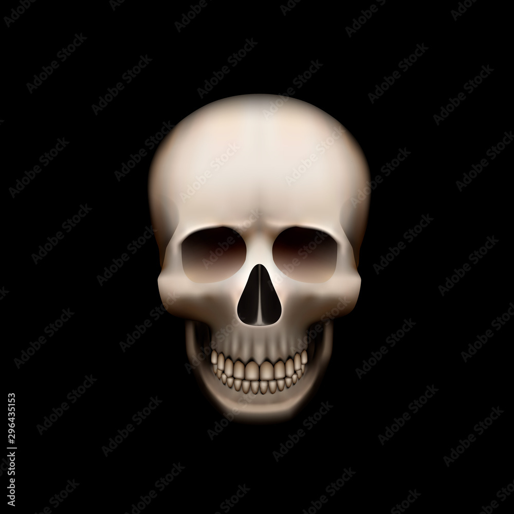 Human skull isolated on black, color object. Human skull isolated on black, color object.