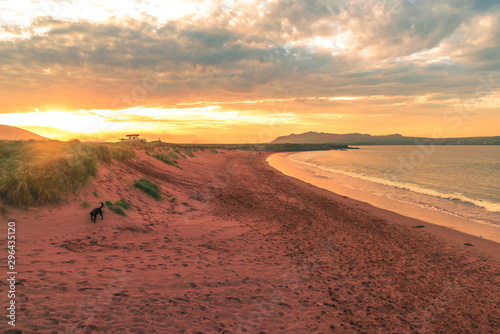 Wine Strand beach Dingle Peninsula bay Ireland landscape seascape sunset long exposure 