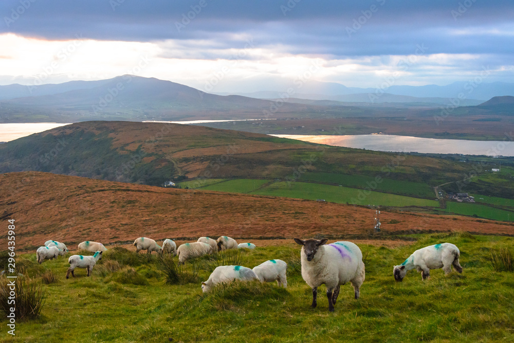 Obraz premium Beautiful view landscape seascape sunrise morning sunlight Valentia Island Cromwell Point Lighthouse Portmagee Ring ok Kerry Ireland colors amazing splitting lights
