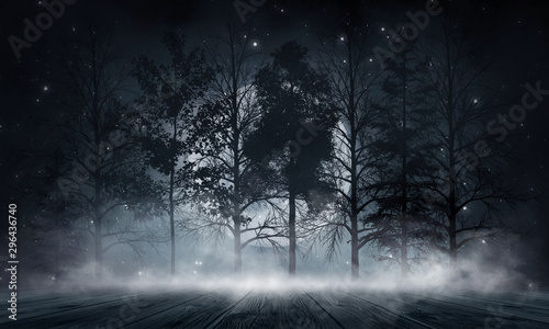 Dark forest. Gloomy dark scene with trees  big moon  moonlight. Smoke  shadow. Abstract dark  cold street background. Night view.