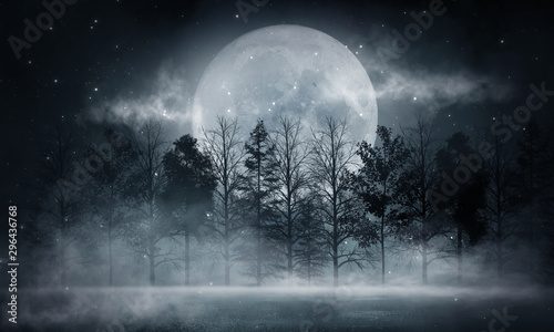 Dark forest. Gloomy dark sc...