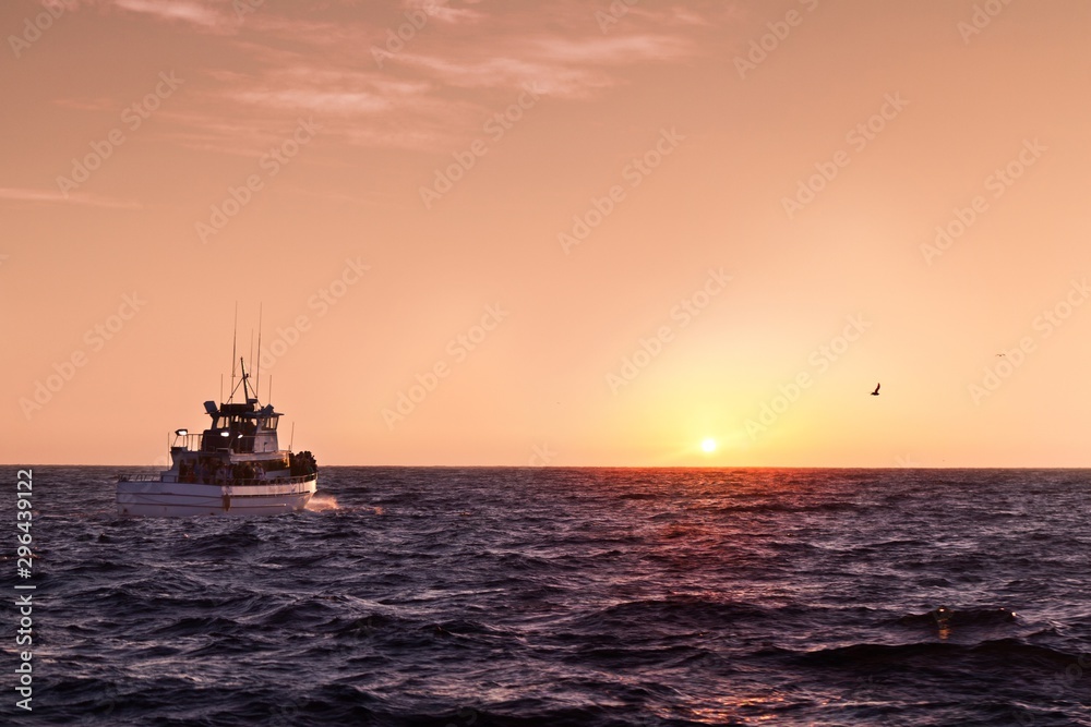 Boat sailing towards the sunset on the Pacific ocean, in California, near Dana Point