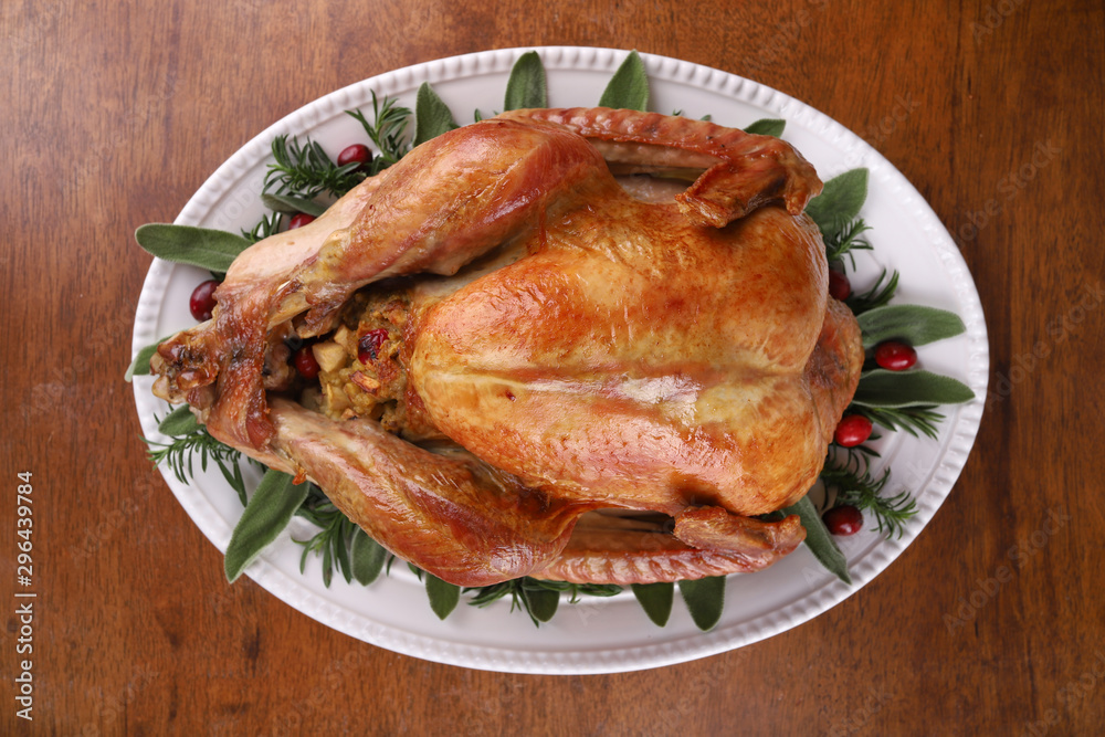 Roast turkey isolated on white background, shallow focus Roast turkey isolated on white background, shallow focus