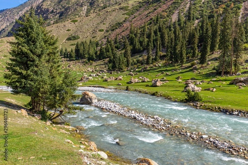 Kyrgyzstan gorges.Sky blue. Mountain valley. Panoramic view. Park, outdoor. photo