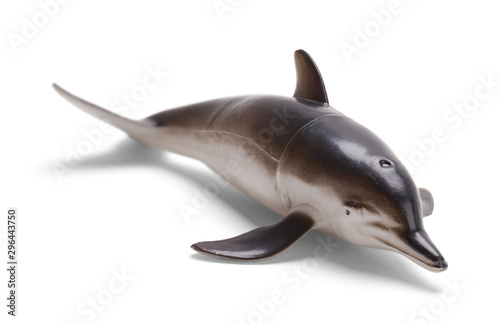Grey Dolphin