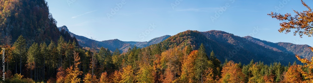 weitläufige Wald und Hügellandschaft im Herbst Panorama weitläufige Wald und Hügellandschaft im Herbst Panorama