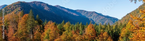 weitläufige Wald und Hügellandschaft im Herbst Panorama