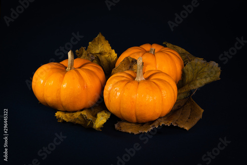Calabazas entre hojas con luz de vela