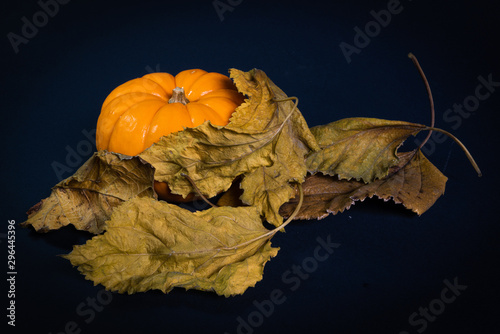 Calabaza entre hojas secas