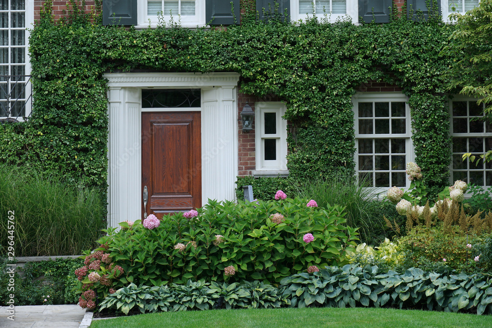 Front door of house surrounded by green vines and pink hydrangea flowers