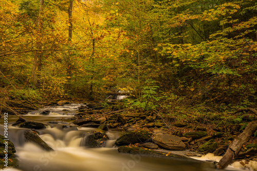 Beautiful river stream in autumn forest with fallen dry leaves at Ricketts Glen Park in Pennsylvania