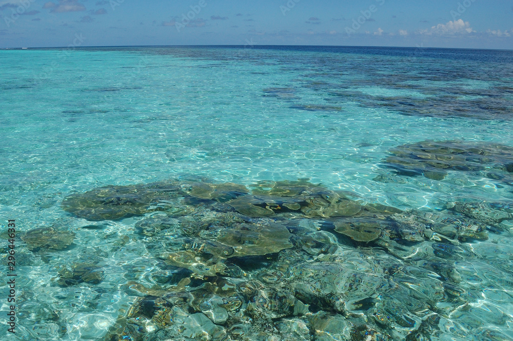 The clear waters of the Maldive Islands