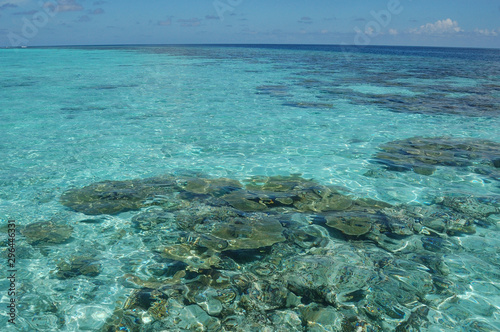 The clear waters of the Maldive Islands