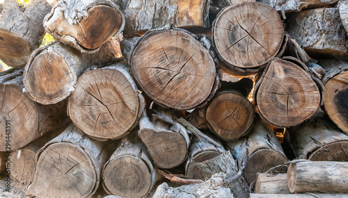 Wooden natural cut logs textured background.