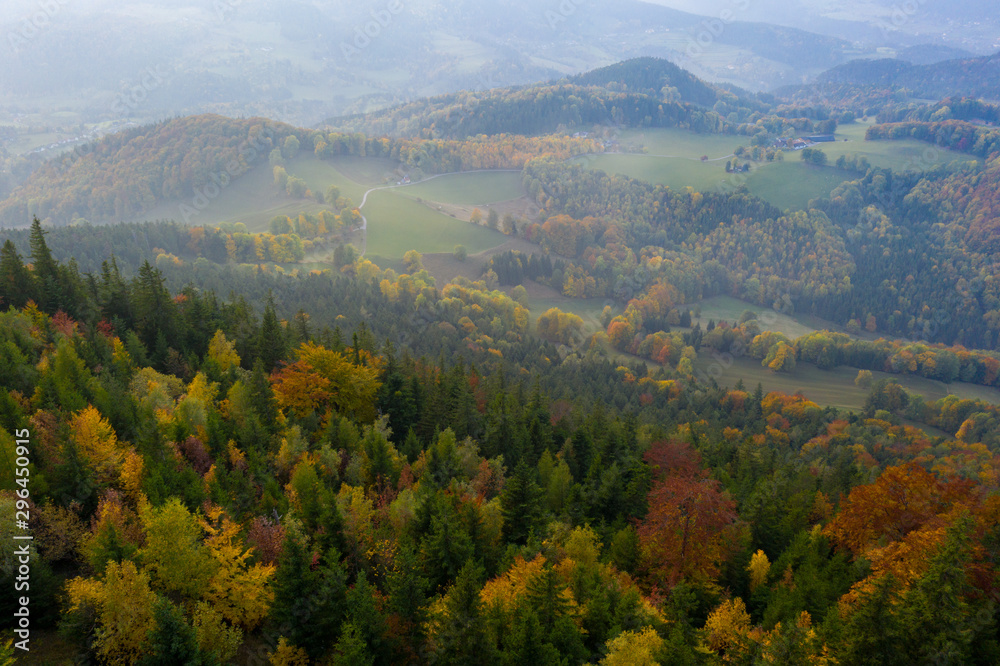 Aerial view over forest in autumn in austria