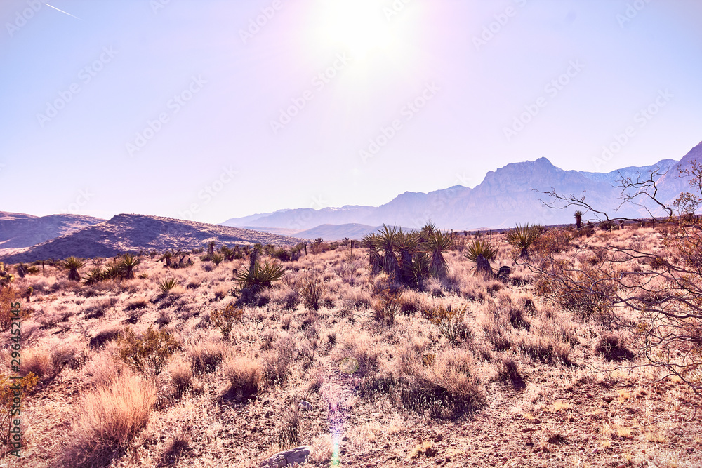 Nevada Desert Landscape Nevada Desert Landscape