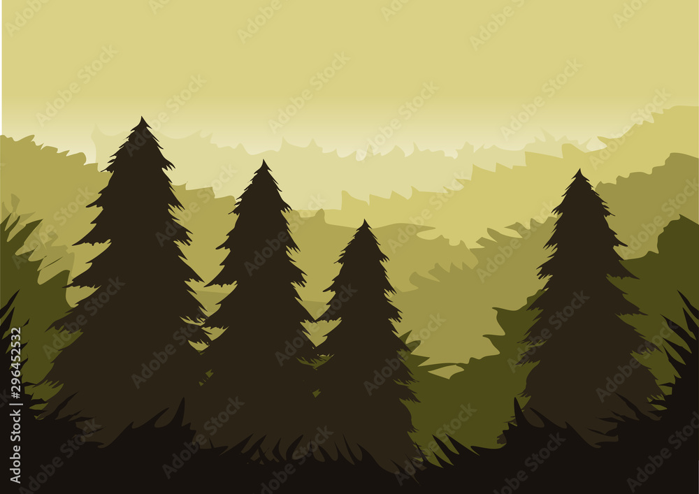 Fototapeta premium pine forest panorama for background and illustartion image