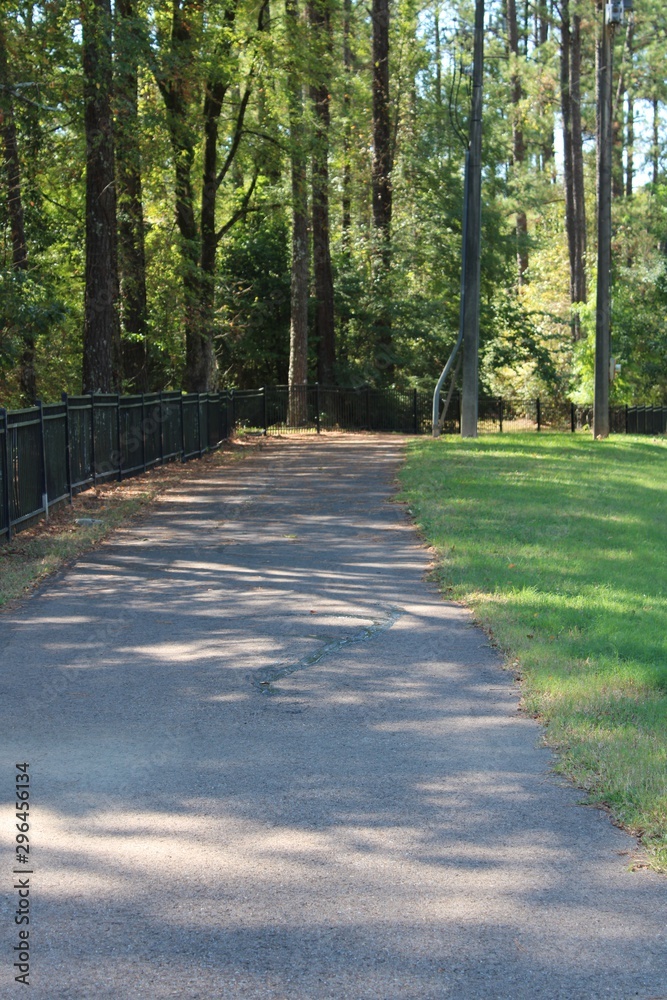 Walking and jogging path lined with trees located in jackson mississippi Walking and jogging path lined with trees located in jackson mississippi