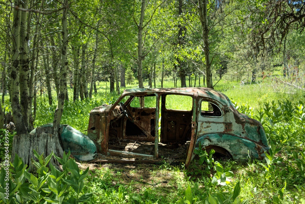 old car in the forest